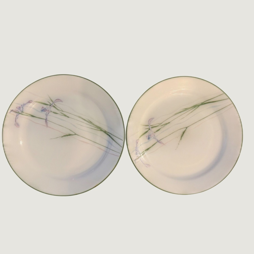 Corelle Iris Dinner Plates Set of 2 Vitrelle Floral Purple Green 10.25 in USA